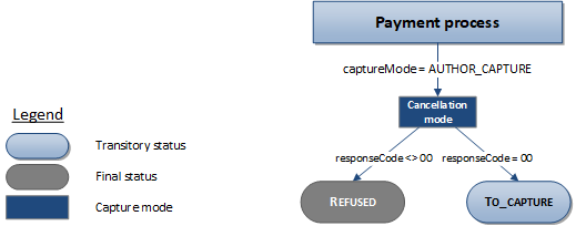 description of the possible statuses for an American Express Logee transaction