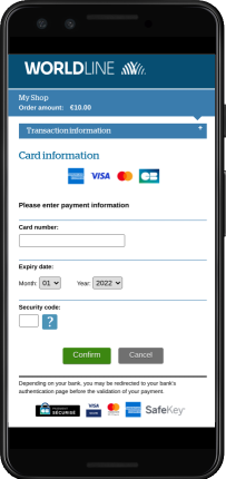 Payment data entry page 